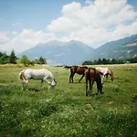 Landgut Moserhof Vakantieboerderij