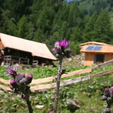 Landgut Moserhof Vakantieboerderij