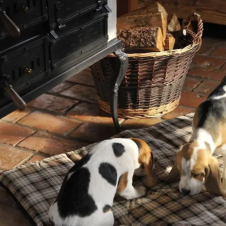 Lantgård Landgut Moserhof