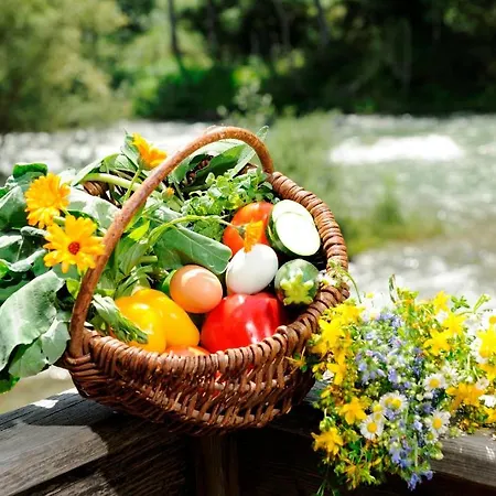 Landgut Moserhof Lantgård Penk