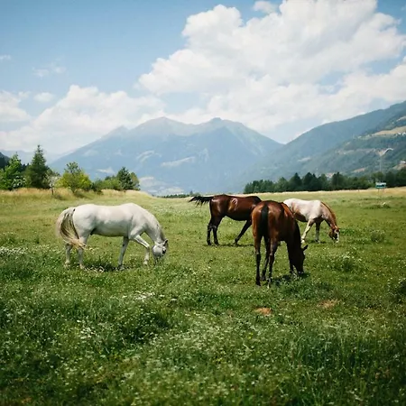 Landgut Moserhof Lantgård