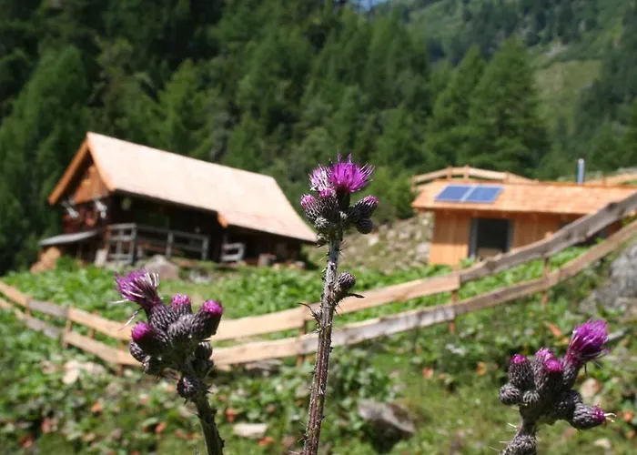 Landgut Moserhof 팜스테이