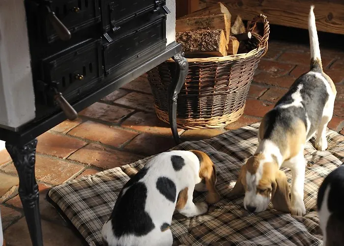 Gospodarstwo agroturystyczne Landgut Moserhof