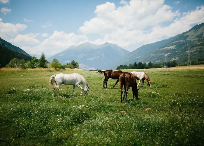 Landgut Moserhof Gospodarstwo agroturystyczne